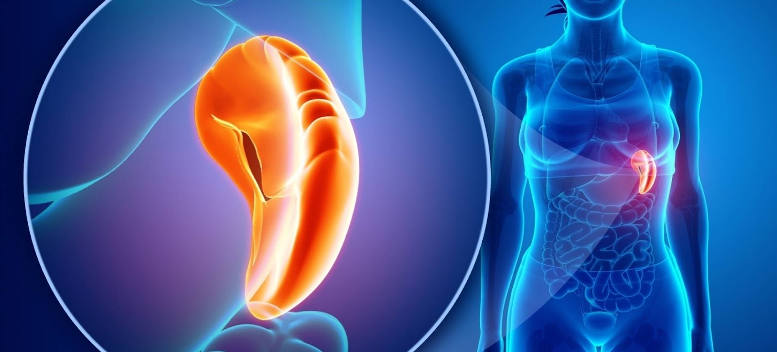 Психосоматика боли в селезенке Психосоматика боли в селезенке