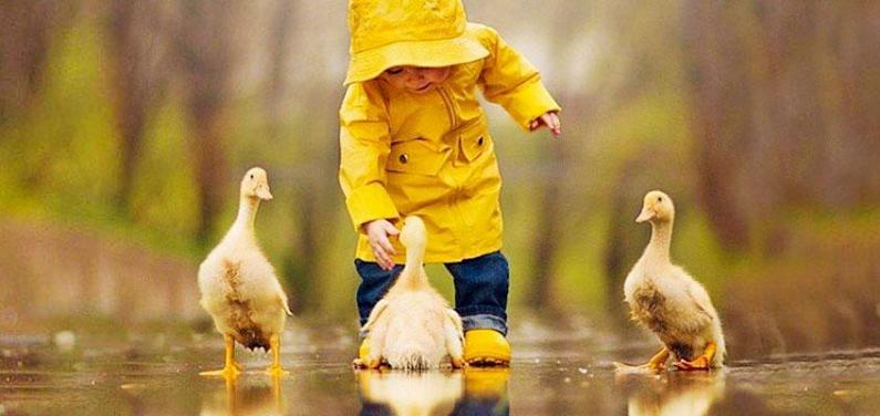 Важно знать, что чувствует ребенок Ребенок с утками