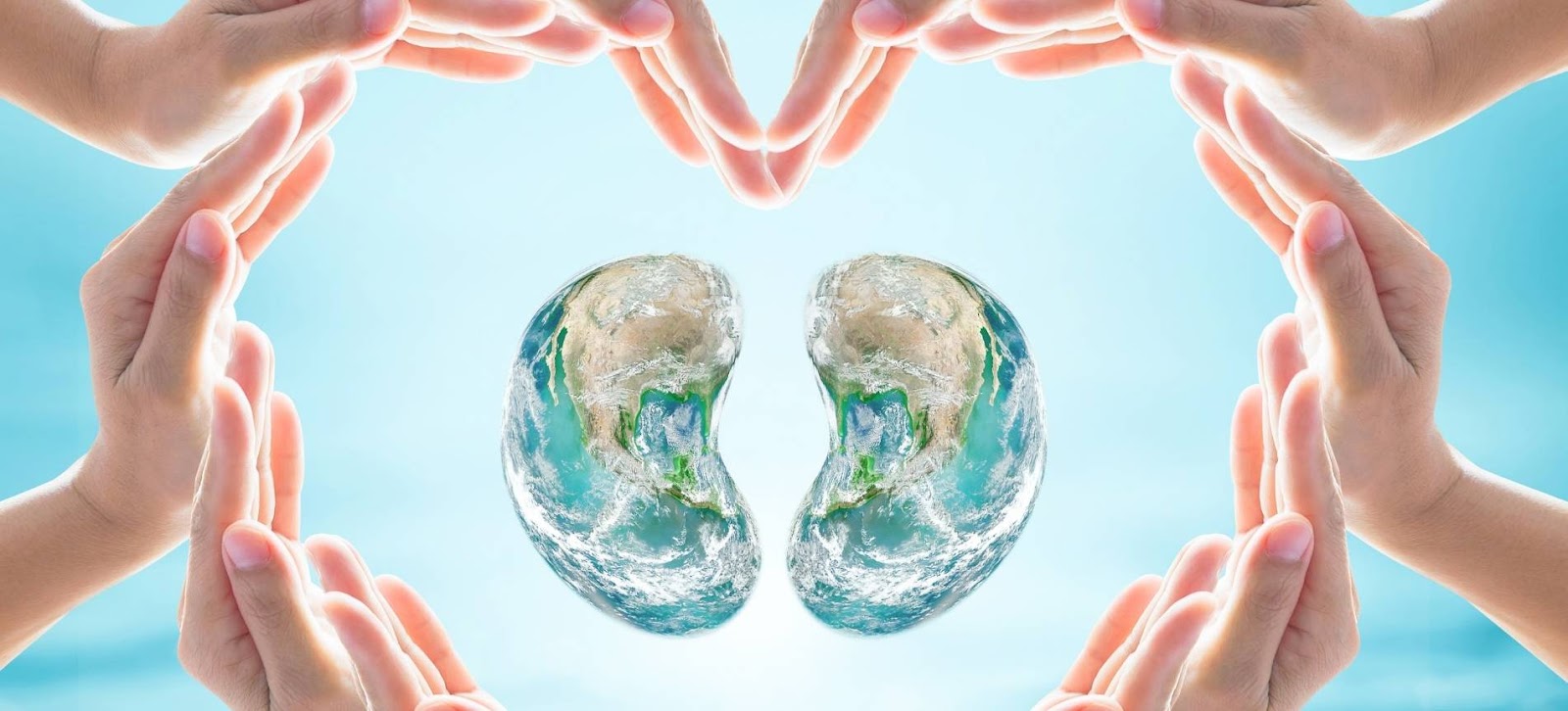 Психосоматика заболеваний почек Психосоматика заболеваний почек