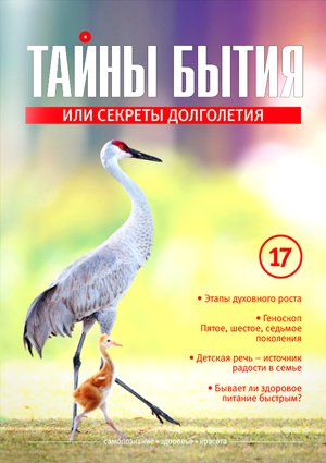 Журнал «Тайны бытия» №17