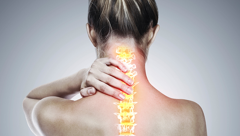 Шея больше всего подвержена напряжению Шейный отдел позвоночника