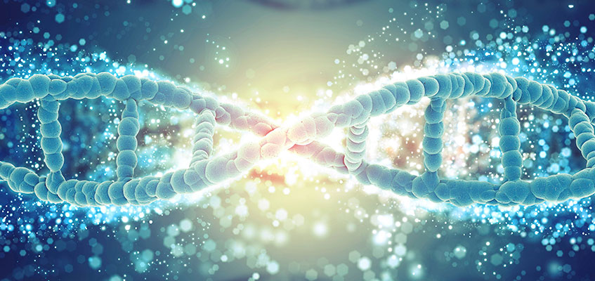 Пройдите гормонально-генетическую перезагрузку Гормоны