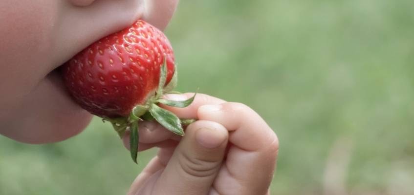unnamed (13).jpg unnamed (13).jpg