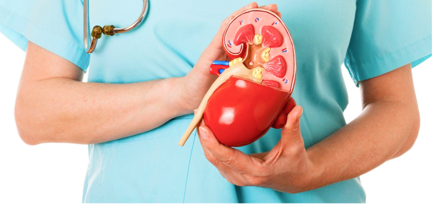 камни в почках симптомы