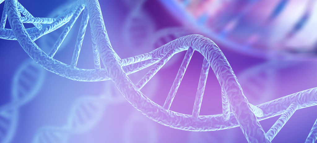 image6.png image6.png