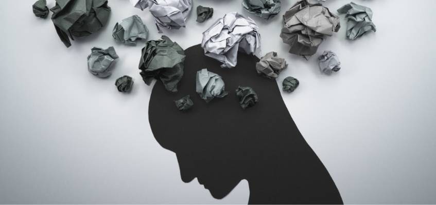 Интеллект напрямую связан с селезенкой Мысли человека