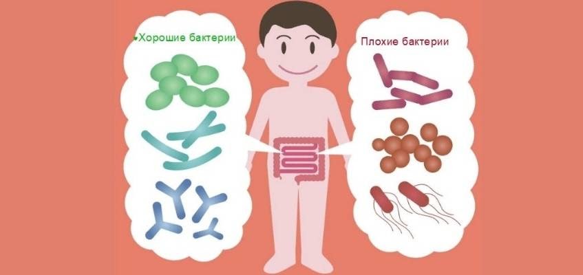 unnamed (12).jpg unnamed (12).jpg