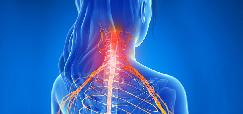 Шейный отдел позвоночника