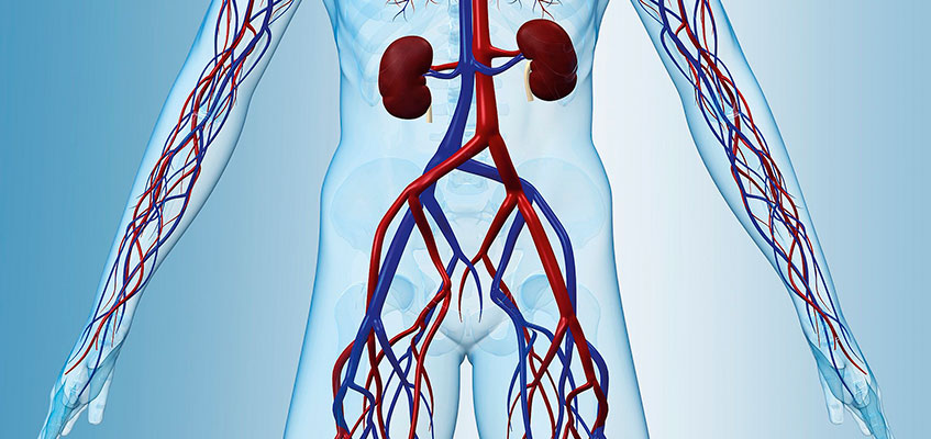 Статья-Карсай-Ней-Цзан_2.jpg Статья-Карсай-Ней-Цзан_2.jpg