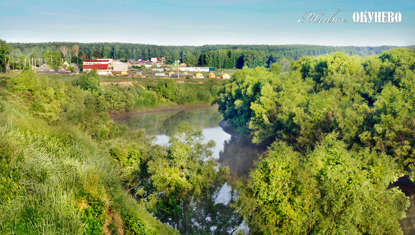 Вокруг только природа Лес и река