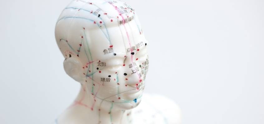 Биологических точек на теле много Расположение точек на голове