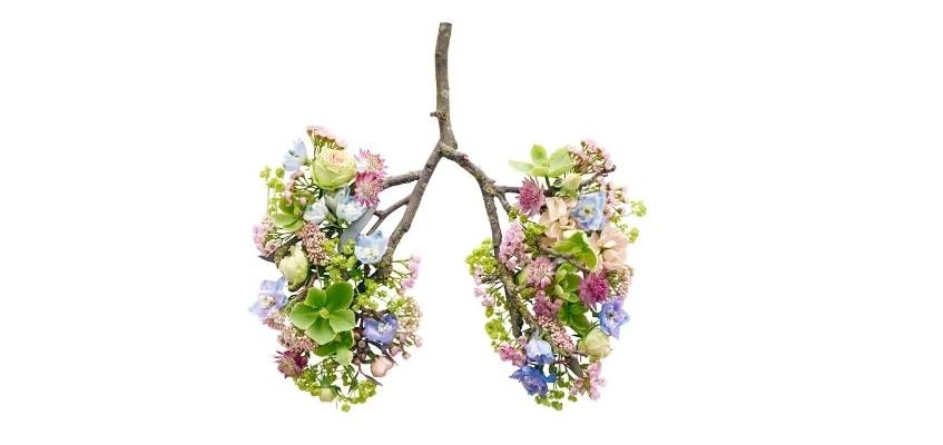 Используйте свои легкие по максимуму Легкие из цветов