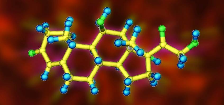 Кортизол в молекулярном виде