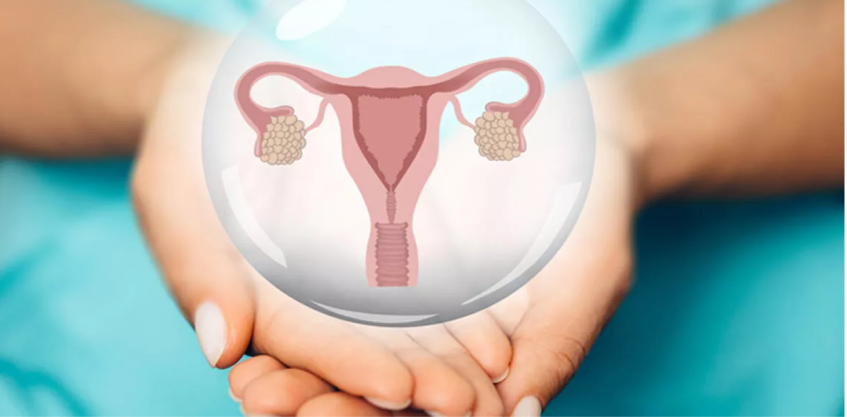 Женское здоровье женские болезни по гинекологии