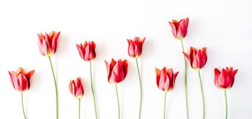 image1.jpg image1.jpg