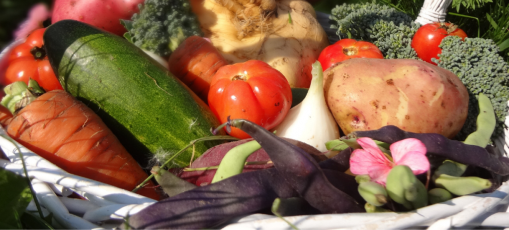 Правильно подбирайте продукты на стол Овощи