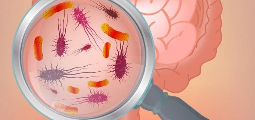 unnamed (14).jpg unnamed (14).jpg