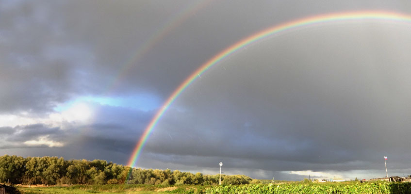 Окунево_2020_3.jpg Окунево_2020_3.jpg