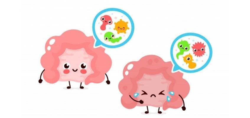 unnamed (11).jpg unnamed (11).jpg