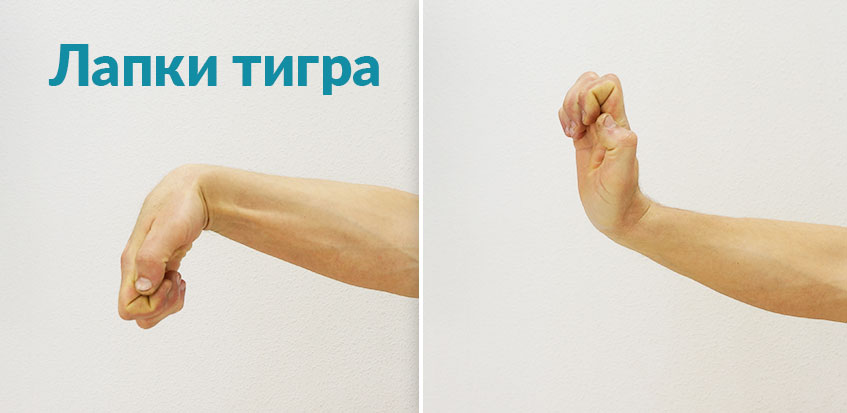 Движения простые — а эффект потрясающий! Лапки тигра