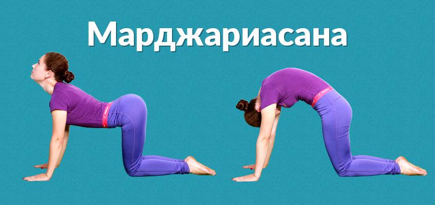Берите пример с кошки Марджариасана