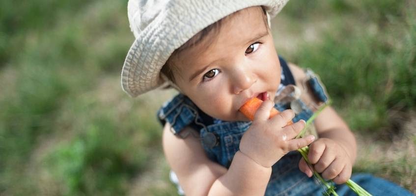 unnamed (6).jpg unnamed (6).jpg