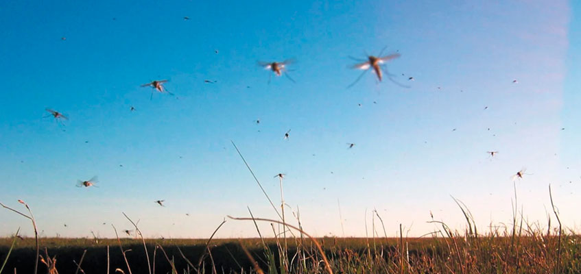 Статья-ВОТ-И-ЛЕТО---ВОТ-И-ЖАРА_4.jpg Статья-ВОТ-И-ЛЕТО---ВОТ-И-ЖАРА_4.jpg