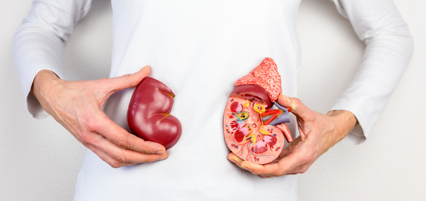 воспаление почек