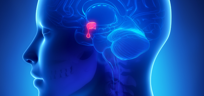 image7.png image7.png