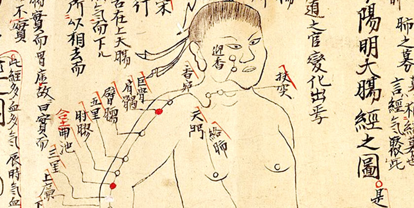 Строение человека