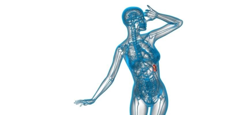 Когда селезенка устает? Уставший человек схематично