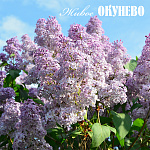 1-11 мая Релакс-тур "Майское счастье"