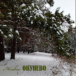 Организованные выезды в Окунево декабрь-январь