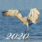 Настоящий отдых в Окунево